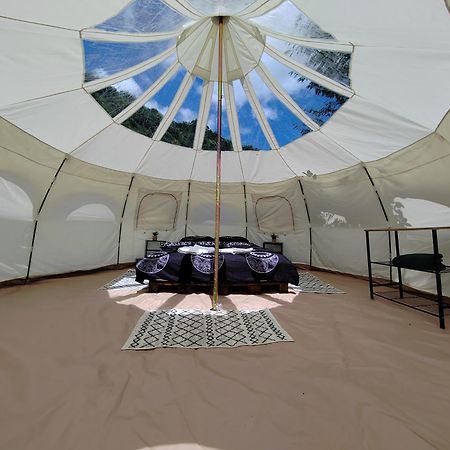 Luna Rock Glamping Brezoi - Blue Scai Kültér fotó