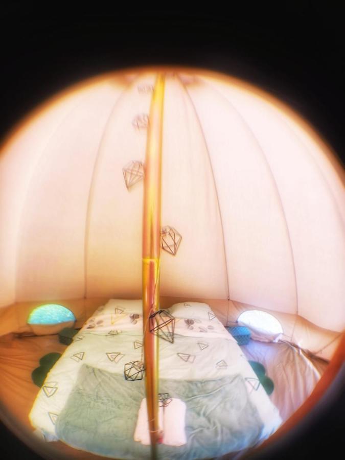 Luna Rock Glamping Brezoi - Blue Scai Kültér fotó