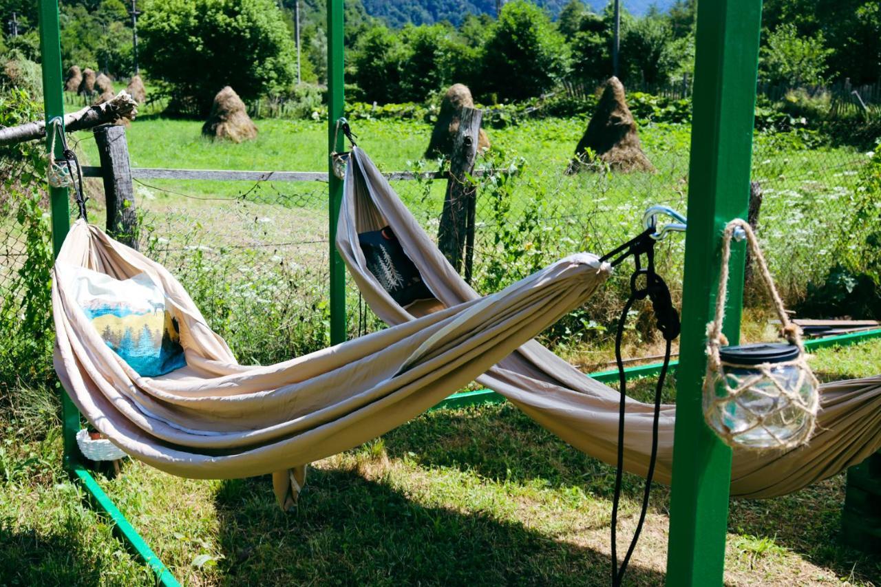 Luna Rock Glamping Brezoi - Blue Scai Kültér fotó